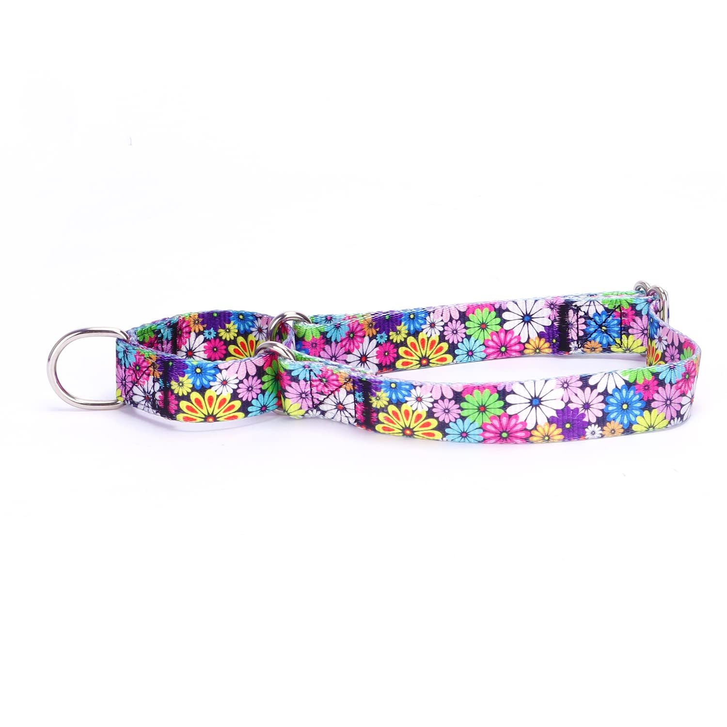 haoyueer Heavy Duty Nylon Adjustable Martingale Dog Collar for Walking Training Boy and Girl Dogs (XL:53-62CM, Coloured daisies) — image 1