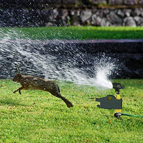 Hoont Motion Activated Jet Blaster Yard and Garden Animal Rodent Repellent