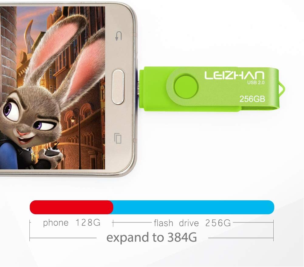 LEIZHAN 256GB Memory Stick USB Dual Port(USB 2.0 & Micro USB) Rotabable Pen Drive 2 in 1 USB flash Drive for Android Smartphones & Tablets & Laptops PC (Green) - Image 5