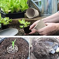 Tazas de semillas de pulpa para plantas de jardín, macetas ...