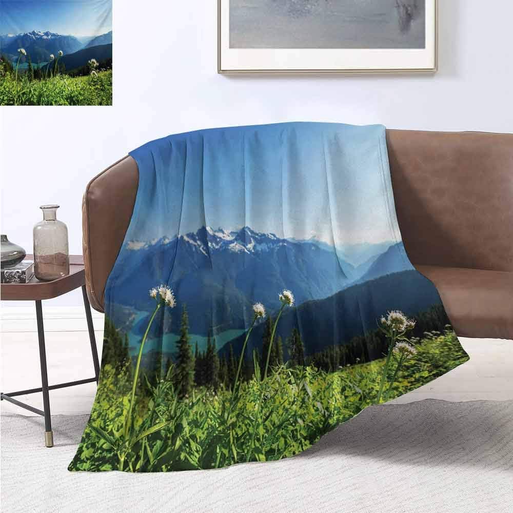 jecycleus Nature Bedding Microfiber Blanket Diablo Lake Washington Mountains Dandelions Thistle Flowers Wilderness Image Super Soft and Comfortable Luxury Bed Blanket W60 by L70 Inch Green Sky Blue
