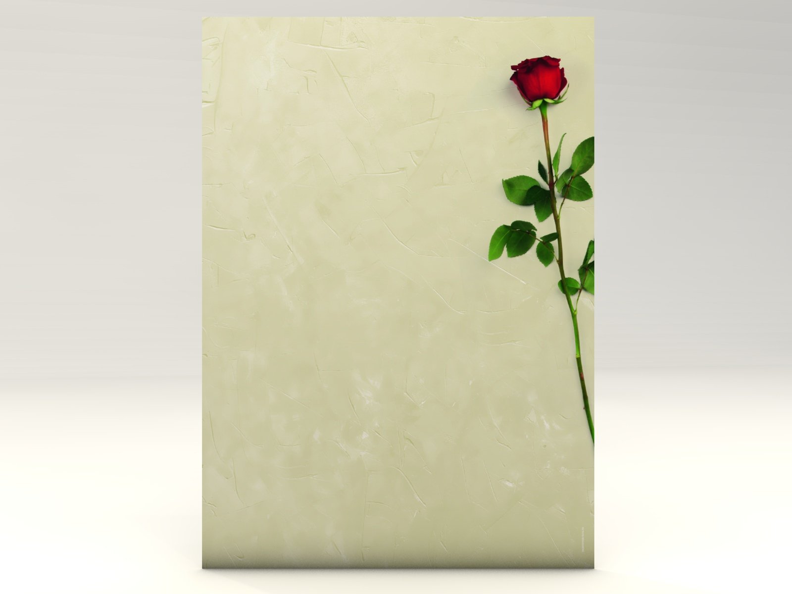 Rote Rose, 100 Blatt Motivpapier 90g/qm