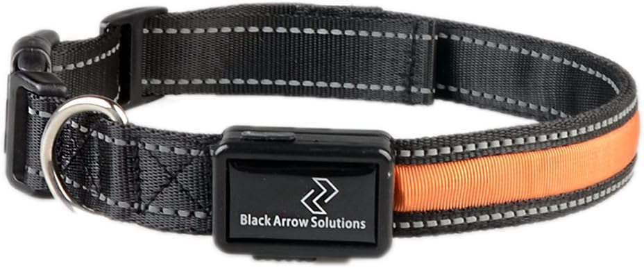 arrow dog collar