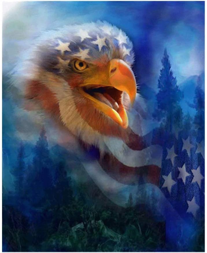 Handser 5D DIY Crystal Full Diamond Rhinestone Painting, by Number Cross Stitch Kit, Embroidery Craft Home Decor Crystal Eagle American Flag (Picture Size:19.6x23.6inch)