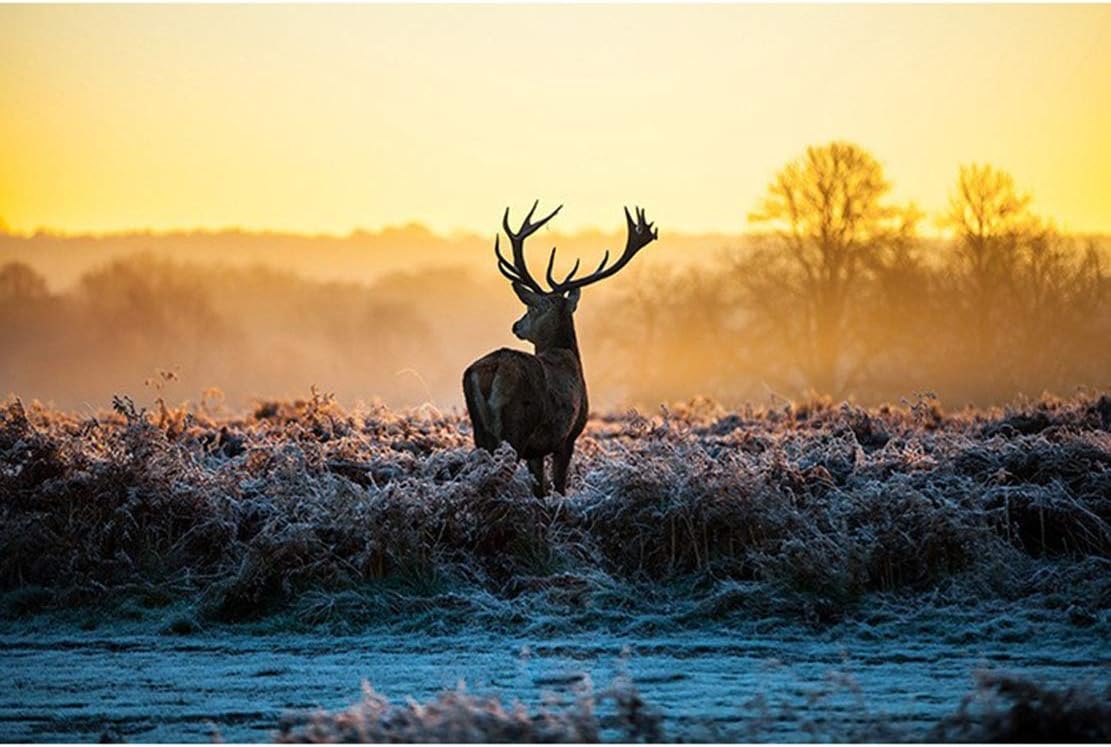 XYMLGS Difficult challenge Peng Jigsaw Puzzle Morning Deer 300/500/1000/1500/2000/3000/5000/5700 Pieces for Adult Kids Girl, Birthday, Decompression Toy, Impossible Mission present