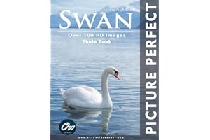 Swan: Picture Perfect Photo Book