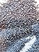 Afghan Blue Organic Poppy Seeds 3 Full Pounds