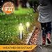 LowVoltz Solar 6 Pack Stainless Steel Solar LED Path Lights. Outdoor Solar Pathway Lights Garden, Yard Walkway. Modern Design, Solar Path Landscape Lighting, Longest Charge (Stainless Steel Round)