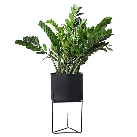 XYHX Soportes de Plantas Soportes de Plantas de metalMacetas ...