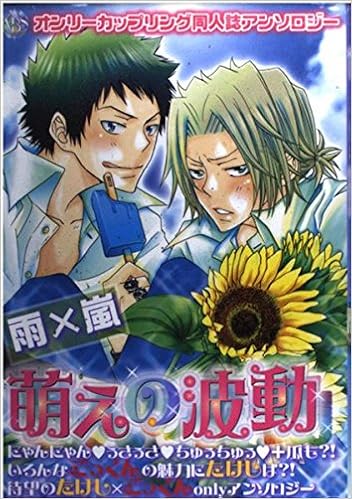 萌えの波動雨 嵐 オンリーカップリング同人誌アンソロジー K Book Comics Amazon Com Books