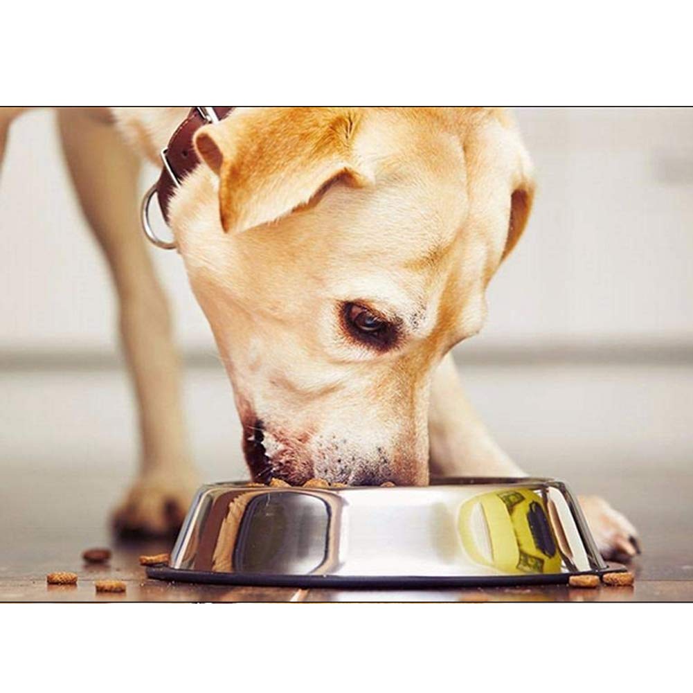 Nuheby Dog Bowls Stainless Steel Pet Food Feeder Water Bowl for Small Medium Dogs, Set of 2 (Middle)