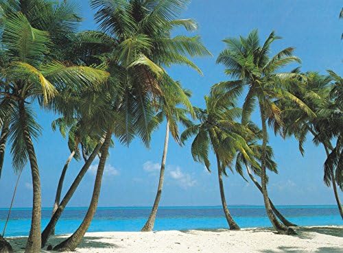 Bahama Breeze 1829 Wall Mural HUGE 12ft. 6in. Wide X 9ft. High