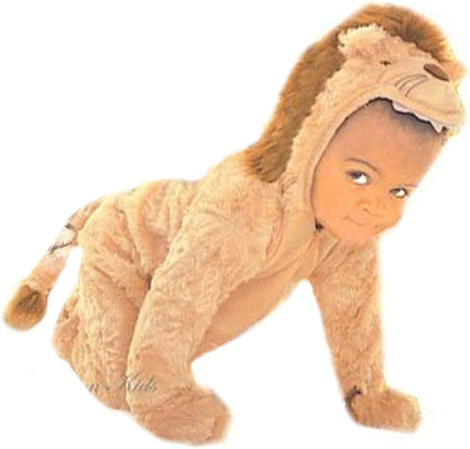 12 month lion costume