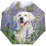 RPLIFE Reise-Regenschirm Mit Gay-Pride-Flagge - Winddicht & Kompakt