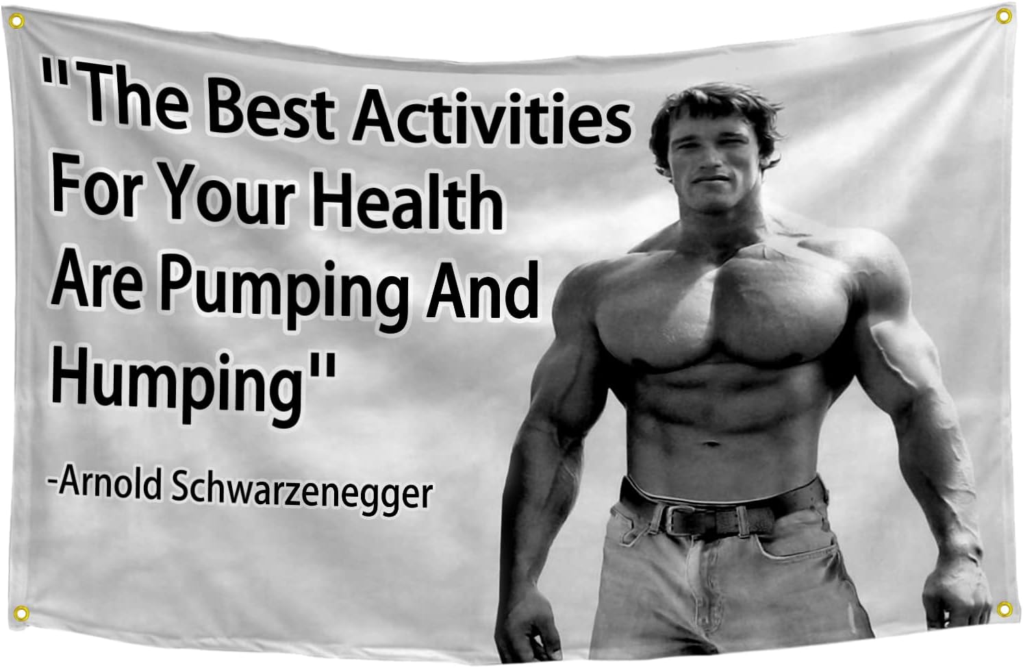 Tapestries - Conquer Flag for Arnold Schwarzenegger Flag Motivational Inspirational Office Gym Wall Decor Funny Poster 3x5 Ft with 4 Brass Grommets for College Dorm Room D¨¦cor¡­