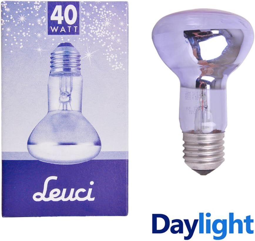 Leuci Batch of 10 Incandescent Light Bulbs, Day Light, Ultra Bright