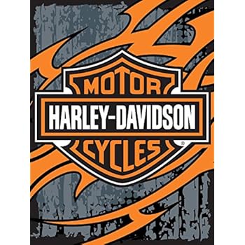 Amazon.com: Super Soft Plush Classic Black Harley Davidson ...