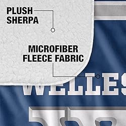 Wellesley Blues Primary Logo Stripes Sherpa