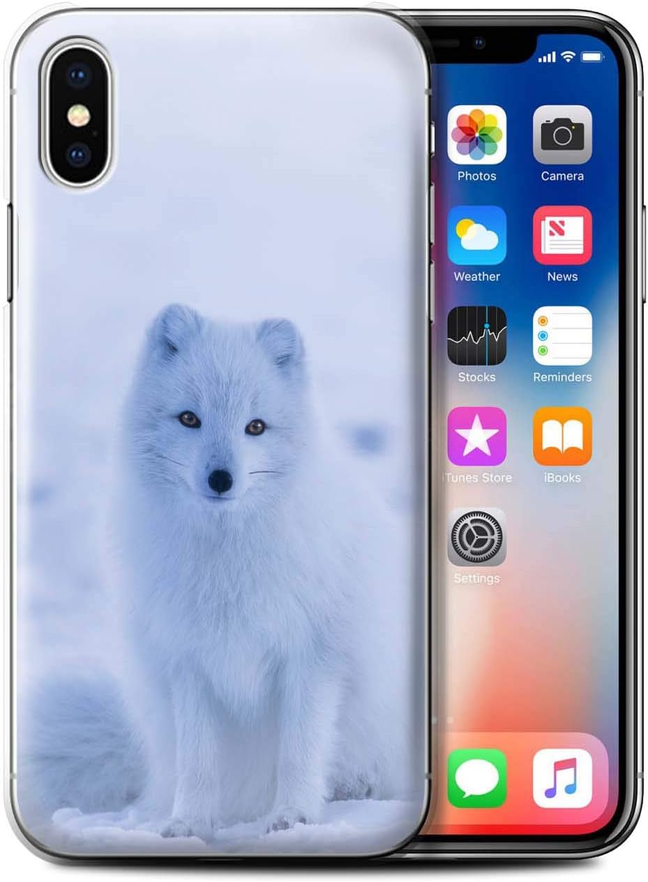 Stuff4 Coque Pour Apple Iphone 6s Plus Photos Mignonnes Bebe Animal Renard Arctique Blanc Chiot Design Transparent Etui Housse Case Rigide Ultra Mince High Tech Housse Et Etuis Zwembaddebeemd Nl