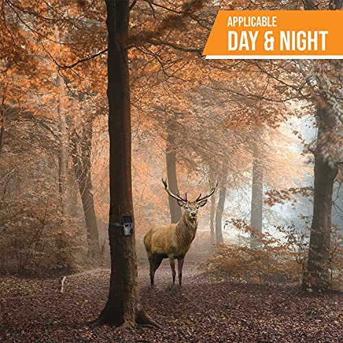 Spypoint LINK-Micro LTE Wildkamera/Tierkamera mit SIM-Karte für Smartphone Übertragung, Wildtierkamera mit Infrarot – Bild 4