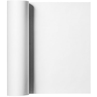 Siser EasyWeed Heat Transfer Vinyl HTV for T-Shirts 12 Inches by 3 Feet Roll (White)