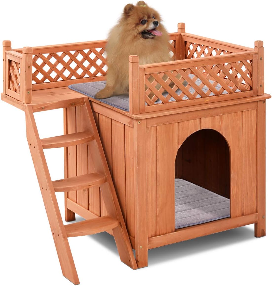 small shelter for a dog