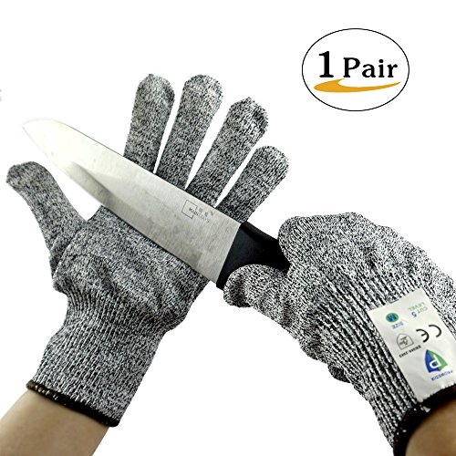 Top 10 Best Money Handling Gloves Top Reviews No Place Called Home
