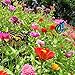 Antallcky 100pcs Butterfly Stakes Outdoor Yard Planter Flower Pot Bed Garden Decor Butterflies Christmas Decorations, Artificial Butterflies on Metal Wire Plant Stake Stems-Multicolor