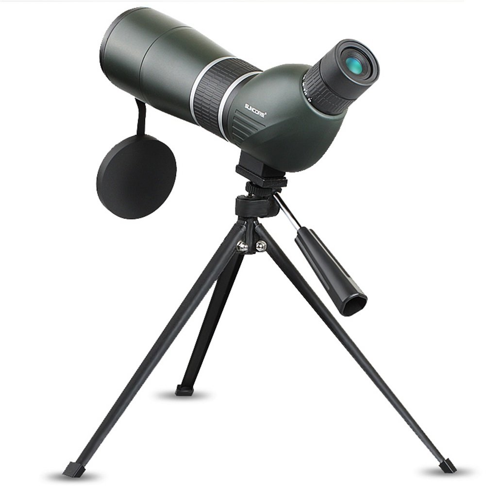 Best Spotting Scope For Birding in 2020 Outdoor Gear World!