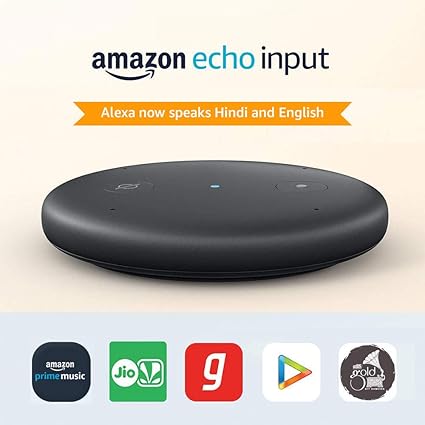 amazon alexa echo input