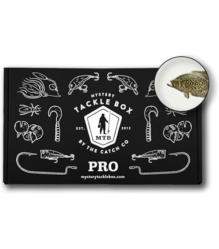 Amazon.com: Catch Co Mystery Tackle Box 12 Days of Fishmas Holiday Fishing  Lures Advent Calendar 2023 Freshwater : Home & Kitchen
