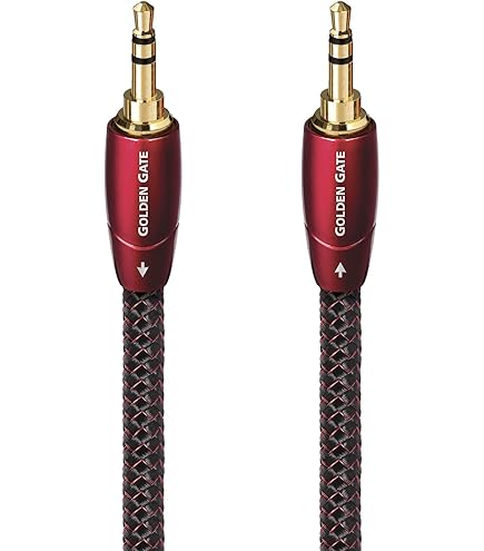 Amazon.com: AudioQuest Golden Gate 3.5mm Mini > RCA Audio
