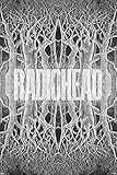 Radiohead King of Limbs Music Poster 12x18