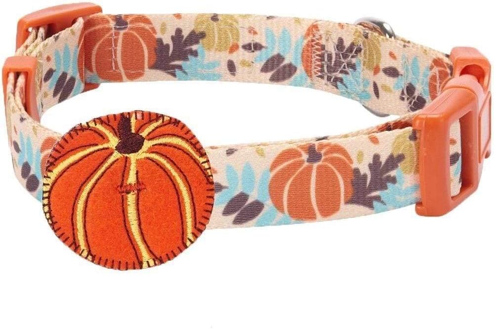 Blueberry Pet 8 Patterns Thanksgiving Fall Harvest Festival Pumpkin Designer Adjustable Dog Collar with Decoration, Large, Neck 18"-26" : Pet Supplies