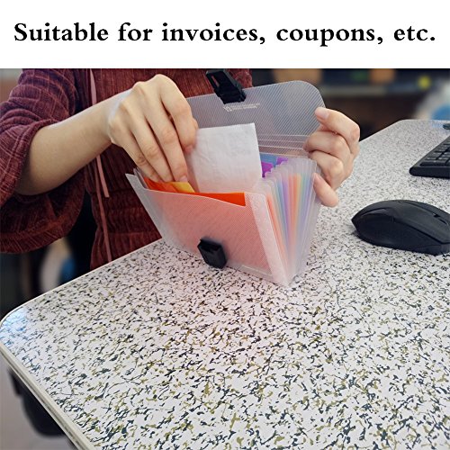 13 Pockets Accordian File Organizer , 7x4.5 Inches, A6 Plastic Wallet for Cards,Coupons,Receipt,Tax Item, Mini Expanding Folders, Expandable Portable Folder