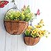 Candyqueen 1Pcs Hanging Wall Planter Iron Wall-Mounted Planter Beautiful Pot Flower Pot Coconut Inner