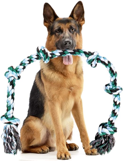 giant dog rope