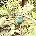3 in 1 Water Moisture PH Light Tester Plant Flowers Sensor Garden Soil Analyzer Meter Tool CSY02