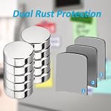 Bohaner N-52 Neodymium Magnets 12mm x 3mm Disc Rare Earth Fridge Whiteboard view 4
