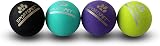 SPORTSPET Tough Bounce Natural Rubber Dog Balls 65mm 4 Pack