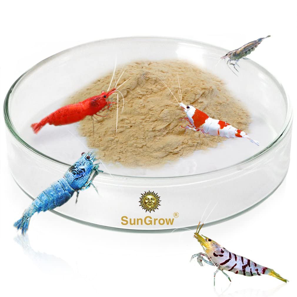 Photo 1 of SunGrow Tough Borosilicate Glass Shrimp & Gecko Feed Dish, Wide and Deep, Transparent Basin for Shrimp Food, Dog & Cat Medicine Holder