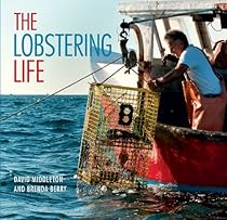 Aesthetic Constructions of Korean Nationalism: Spectacle; Politics and History (Asia's Transformations)