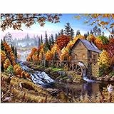 Staron DIY 5D Diamond Painting, Wall Art Decor Cross Stitch Kit Crystals 5D Diamond Painting Embroidery Home Decor Craft (D)