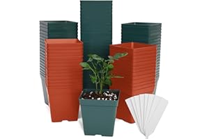 June Fox 100 Pack Green Red Square Nursery Pots with Drainage Holes 3.3 Inches Flexible Plastic Seedling Pots Square Pots for Plants, Succulent, Flower, with Plant Labels