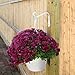 Hand Forged Wall Mounted Hook, 2-Pack, 6 Inch Curved White For Bird Feeders & Houses Planters Lanterns Wind Chimes Hanging Baskets Ornaments String Lights, As Wall Brackets & More!