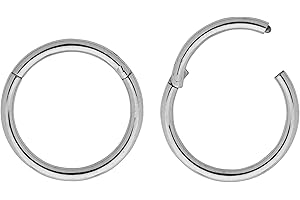 365 Sleepers 2 Pieces Titanium 18G Hinged Hoop Segment Septum Cartilage Helix Tragus Nose Ring Unisex Sleeper Earrings 6mm - 13mm