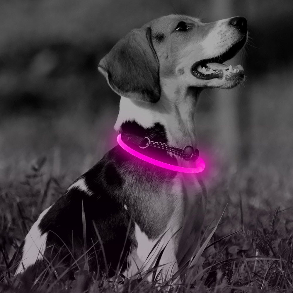 Illumifun Led Dog Collar, USB Rechargeable TPU Cuttable Light Up Collar Make Your Dogs Seen & Safe in the Dark (Candy Pink)
