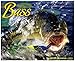 2015 Bass Wall Calendar Fishing Willow Creek Press jg by 