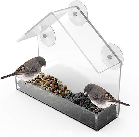 indoor bird feeder