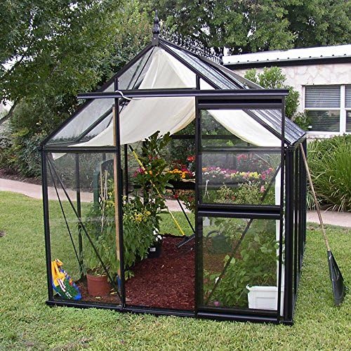 Janssens Junior Victorian 7.75 x 10.1-Foot Greenhouse Kit